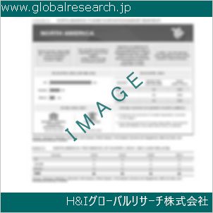 グローバルリサーチ調査資料のイメージ